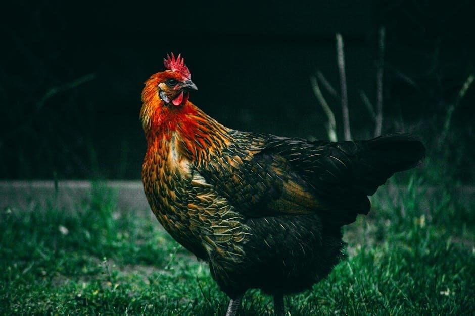 arkomeda cock tutorial