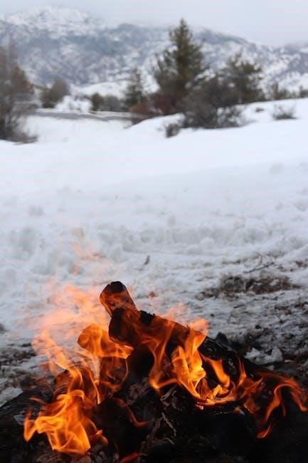 napoleon fireplace remote manual