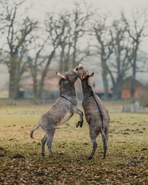 ninja foodi 9 in 1 air fryer manual