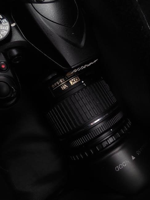 nikon d40x user guide